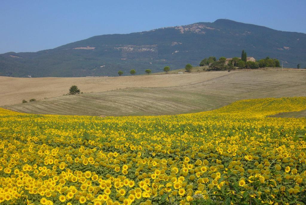 B&B Giuseppe Chiusi Exteriér fotografie